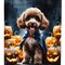 Edge Collections - 11.25" X 15.5" - Multicolor - Chocolate Poodle Puppy Halloween Garden Flag - 1 Piece